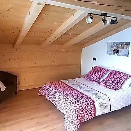 Chalet Neuf Vue Panoramique Sur Le Mont-blanc Combloux